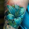 As there are many different sorts of lilies, so their emblems change correspondingly with different cultures. 3