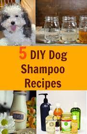 5 All Natural Diy Dog Shampoo Recipes You Will Love Fabulessly Frugal Dog Shampoo Recipe Homemade Dog Shampoo Diy Dog Wash