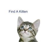 Ragdoll Breeders - site.tica.org