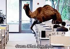 Guess What Day It Is Gifs Tenor
