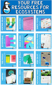 Free Ecosystems And Food Webs Activities In 2020 Elementary Science Activities 6th Grade Science Elementary Science Units