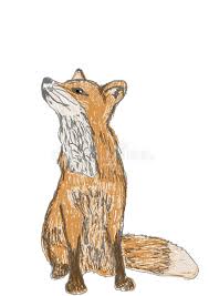 Hand Draw Fox On Isolated White Background Stock Illustration Illustration Of Draw Cartoon 164412034