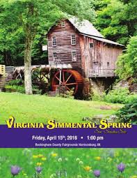 Virginia Simmental Spring Sim Sensation Sale By Barbour