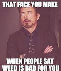 420 is something that has been known for a very long time. Weed Memes That Don T Suck Funniest Weed Memes From Around The Web