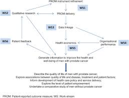 Prostate cancer is the most common cancer diagnosis made in men with more than 160 000 new cases each year in the united states. Life After Prostate Cancer Diagnosis Protocol For A Uk Wide Patient Reported Outcomes Study Bmj Open