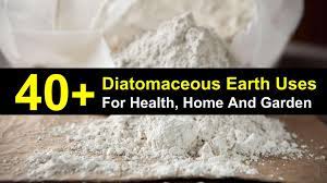 Diatomaceous earth can help you to get rid of them. 40 Amazing Diatomaceous Earth Uses For Health Home And Garden