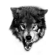 Other popular wolf tattoos include the wolf pack, two wolves staring at each other on the chest, just a wolf face, or a lion and wolf combination. Pin By Freedi Fernandez On Referencias Wolf Tattoos Wolf Tattoo Sleeve Wolf Photography