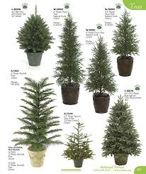 Evergreen Tree Chart Backyard Trees Dwarf Evergreen Trees