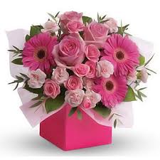 Read more they are sure to capture the essence of any occasion for anyone who wants to send flowers to that someone special. Flower Delivery Sydney Send Flowers To Sydney Oz Flower Delivery
