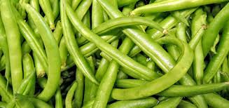 Properties Of Beans