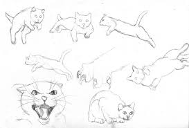 Pin By Mary Sargent On Cats Cat Pose Cat Drawing Drawings