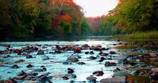 Champaign County Forest Preserve District State Parks Forest Preserve International Tourism