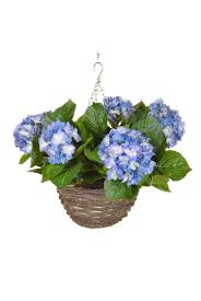 Fashionable woman in eyeglasses holding flowers near hole in blue paper with grey background. Artificial Hydrangea Hanging Basket Blue