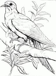 Outline Bird On Branch Drawing Reusableart Com Bird Coloring Images Outline Drawing Of A Bird On A Branch Bird Outline Outline Drawings Colorful Drawings