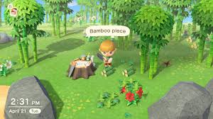 How to get a perfect 5 star island eval rating animal crossing new horizons wiki guide ign don t use the time travel cheat in animal crossing new horizons 15 gorgeous animal crossing new horizons island designs. Animal Crossing New Horizons How To Get Bamboo Pieces And Young Spring Bamboo Usgamer