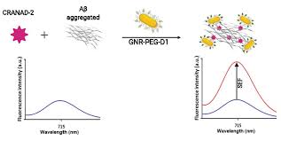 More common than many believe, you don't want to let these vermin get under your skin. Nanomaterials Free Full Text Gold Nanoparticles Mediate Improved Detection Of B Amyloid Aggregates By Fluorescence Html