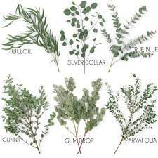Our bouquets are not that costly, coz currently, we take local orders only(of bouquets). Types Of Eucalyptus Greenery Wedding Flowers Floral Wedding Flower Arrangements