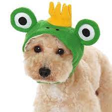 Prince Frog Dog Hat Largest Online Dog Boutique In 2021 Dog Hat Frog Hat Dog Boutique
