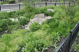 A rain garden is a landscaped feature that replaces an area of your lawn in order to collect the stormwater (rain and melted snow) that runs off your grass, roof and driveway. Rain Gardens The Essential Guide Land8