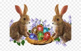 Use this easter bunny face svg for crafts or your graphic designs! Easter Basket Bunny Png Transparent Images Easter Bunny Transparent Background Png Download 640x480 2930747 Pngfind