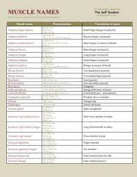 We did not find results for: Muscle Names List Pdf Portable Document File Lion Den
