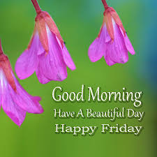 We did not find results for: Good Morning Happy Friday Pictures Have A Beautiful Day Good Morning Images Quotes Wishes Messages Greetings