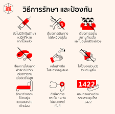606,596 likes · 69,659 talking about this. 10 à¸§ à¸˜ à¸› à¸­à¸‡à¸ à¸™à¹€à¸Š à¸­à¹„à¸§à¸£ à¸ª à¹‚à¸„à¹‚à¸£à¸™ à¸² à¸ªà¸²à¸¢à¸ž à¸™à¸˜ à¹ƒà¸«à¸¡ 2019