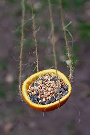 Start with a straw or vine wreath base, or make your own using grapevines, virginia creeper, or branches from weeping willow. Three Easy Bird Feeders To Make With Kids Run Wild My Child