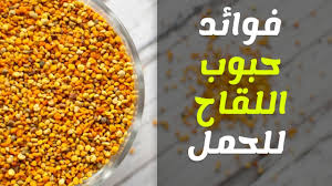 فوائد و اضرار الرمان.فاكهة الجنة | المرسال / وان اكس اس one xs من فوائد حبوب الزنك للجنس أن الزنك من المعادن الاساسية التى يحتاجها الجسم حيث يساهم الزنك فى العديد من عمليات… Ø§Ù„Ø¹Ù„Ø§Ù…Ø© ÙÙˆØ§Ø¦Ø¯ Ø­Ø¨ÙˆØ¨ Ø§Ù„Ù„Ù‚Ø§Ø­ Ù„ØªÙ†Ø´ÙŠØ· Ø§Ù„Ù…Ø¨Ø§ÙŠØ¶ Ø­Ø¨ÙˆØ¨ Ù„Ù‚Ø§Ø­ Ø§Ù„Ù†Ø­Ù„ Ù„ØªÙ†Ø´ÙŠØ· Ø§Ù„Ù…Ø¨Ø§ÙŠØ¶