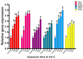 Physiological and Molecular Response Modifications by Ultraviolet-C  Radiation in Plutella xylostella and Its Compatibility with Cordyceps  fumosorosea