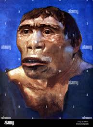 Human evolution darwin hi-res stock photography and images
