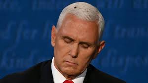 Fly On Mike Pence S Head Sets Social Media Abuzz During Vp Debate
