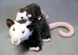 Opossum Stuffed Opposum Toy Opposum Opposum Replica Baby Stuffed Animals Baby Plush Toys Realistic Stuffed Animals