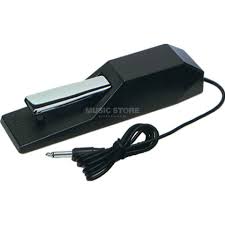 Ds1 is the primary digital telephone standard used in the united states, canada and japan and is able to transmit up to 24 multiplexed voice and data calls over telephone lines. Korg Ds1 H Music Store Professional De De