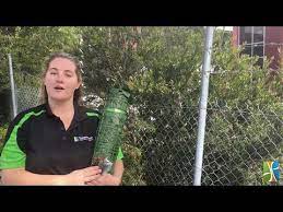 6pm score deals on fashion brands How To Install Artificial Ivy Rolls Youtube