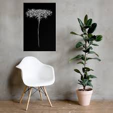 Black And White Botanical Prints Framed Living Room Prints Black And White Botanical Print Wall Art Prints Nature Botanical Poster Realistic Art Sketch Queen Anne Lace Flower Framed Art Prints Living Room Prints Poster Frame