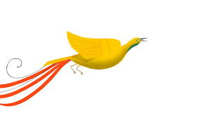 Beautiful pictures of birds flying. Flying Eye Books Beautiful Birds Book Trailer On Vimeo