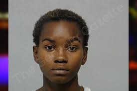 Jasmine Hilton — Bibb County Jail Bookings