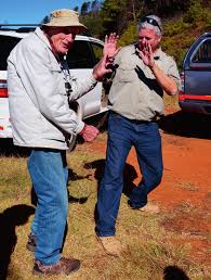 Image result for Aloe haroniensis