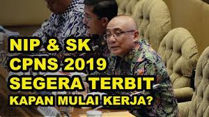 Berapa lama waktu tunggu penempatan ke instansi kerja setelah selesai pemberkasan? Nip Sk Cpns 2019 Segera Terbit Kapan Mulai Bekerja Youtube