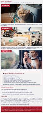 We love pets, we are the experts in pet transport, we are genuine when it comes to our knowledge and care and we strive to exceed expectations. How To Tackle Pet Transport During Holidays Petlifeuk