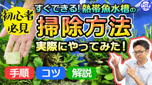 中華民國教育部版權所有© 2015 ministry of education, r.o.c. åˆå¿ƒè€…å'ã' ç†±å¸¯é­šæ°´æ§½ã‚'æŽƒé™¤ã™ã‚‹æ–¹æ³•ã¨ã¯ æ‰‹é †ã‚„ã‚³ãƒ„ã‚'å…¬é–‹ æ±äº¬ã‚¢ã‚¯ã‚¢ã‚¬ãƒ¼ãƒ‡ãƒ³