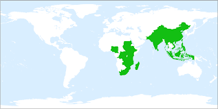 Image result for Sanicula elata