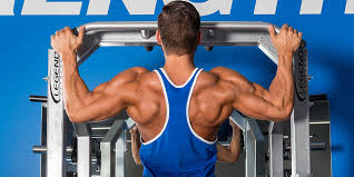 Exercises and workouts organized according to muscle groups (split) 50/50 ratio between compound and isolation lifts; The Best Upper Body Workout Routine