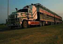Dark Roasted Blend Huge Off Highway Road Trains Road Train Highway Road Train Truck