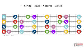 4 string bass natural notes guitar scientist