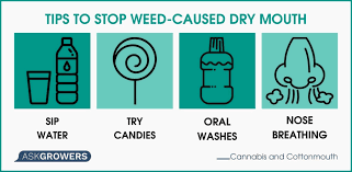 What Is Cottonmouth And How To Stop It? | Askgrowers