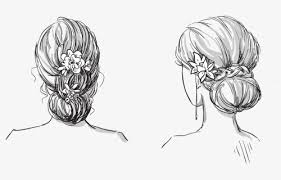 Maybe you would like to learn more about one of these? Bun Drawing Hairstyle Brown Hair Two Hair Buns Drawing Hd Png Download Kindpng
