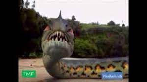 Piranaconda Youtube