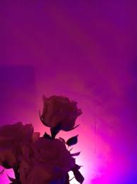 Tumblr Neon Rose Wallpaper Tumblr is a place to express yourself, discover yourself, and bond over the stuff you love. tumblr neon rose wallpaper